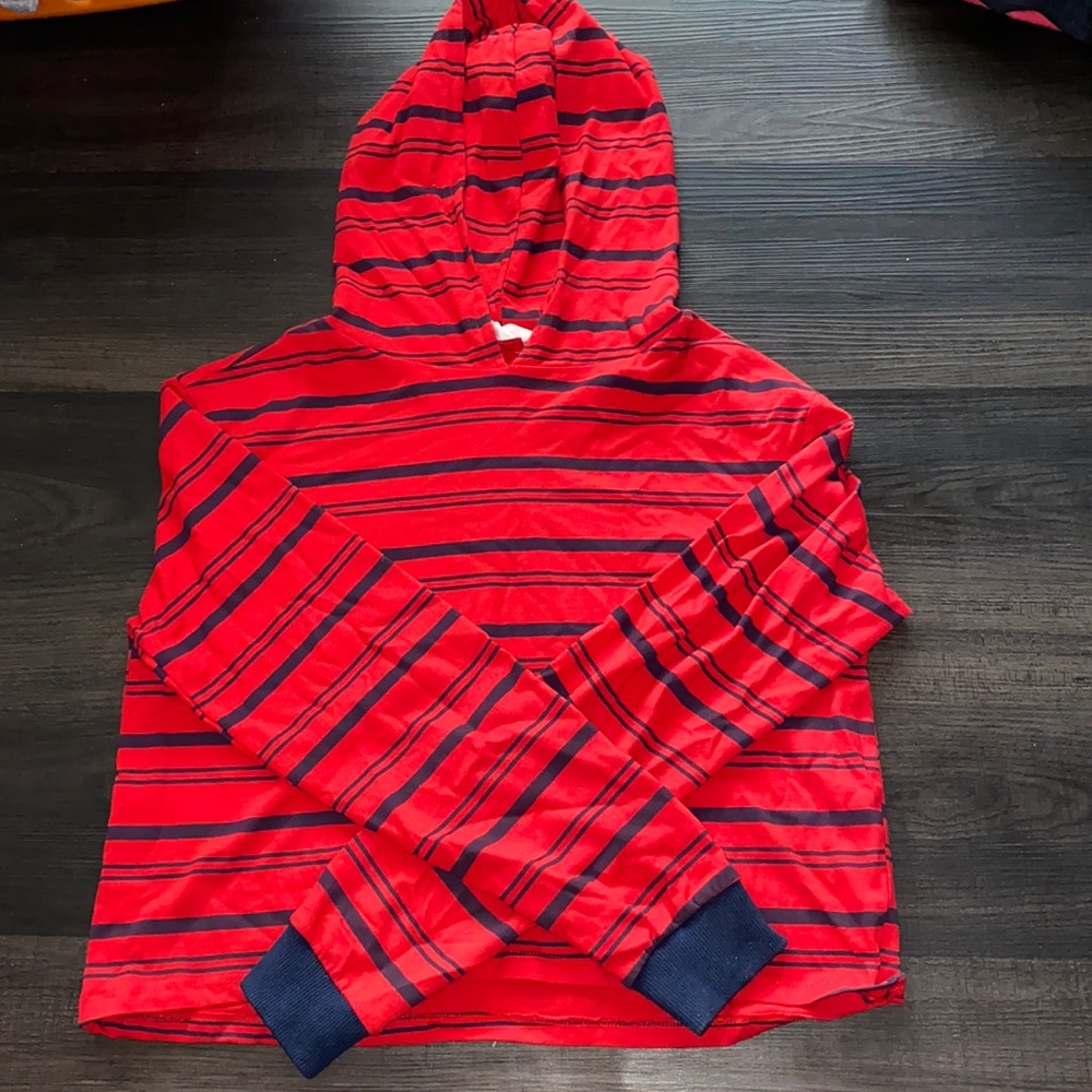 Blue notes red striped cropped sweater